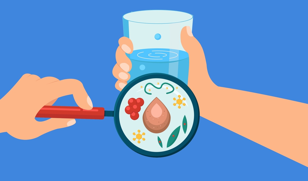Hoe filterbacteriën bij de reiniging van uw vijver helpen
